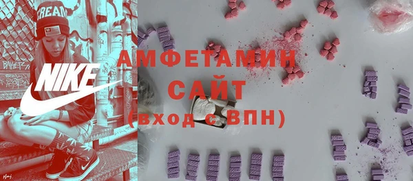 ECSTASY Богородск
