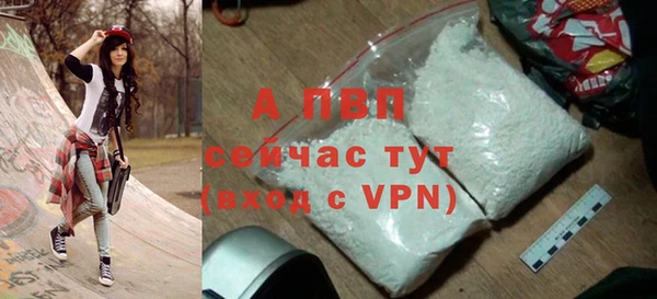ECSTASY Богородск