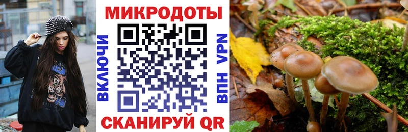 Псилоцибиновые грибы Magic Shrooms  купить закладку  Мезень 